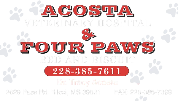 Acosta Veterinary Hospital